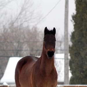 Meet your Posher, Joanne